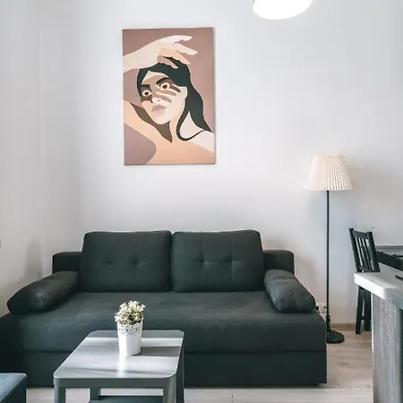 Brother House 3* קובנה